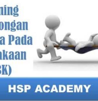 Training P3K
